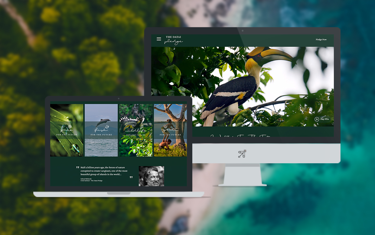 DigitalBLBr